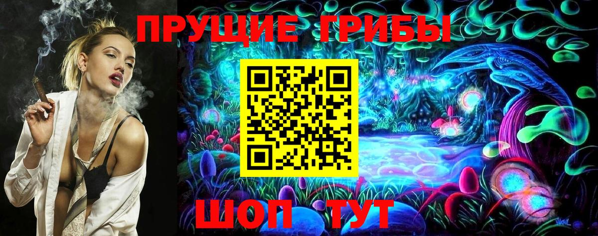 Галлюциногенные грибы Psilocybe Абинск