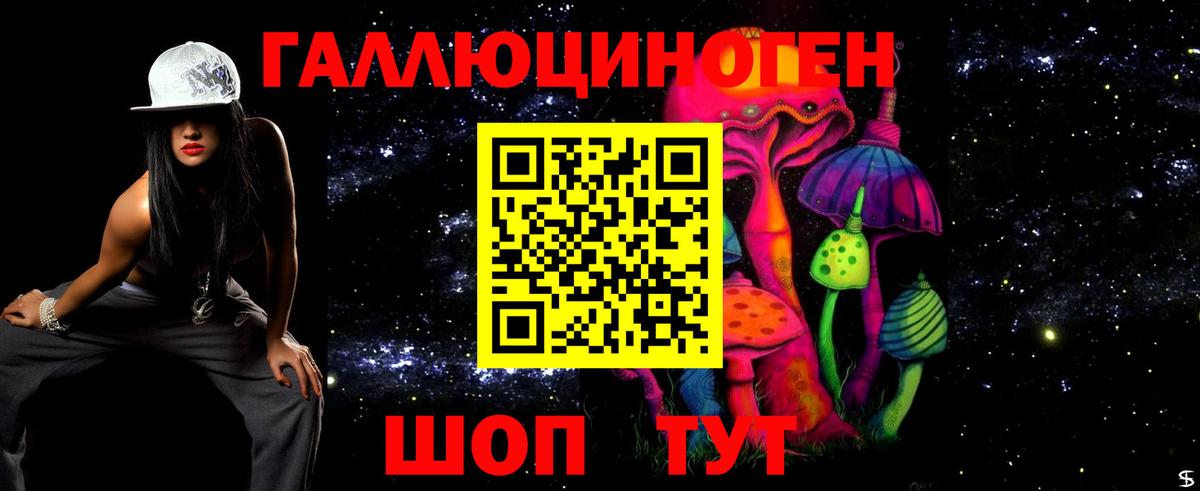 Галлюциногенные грибы Psilocybe  Вход с VPN  Абинск 